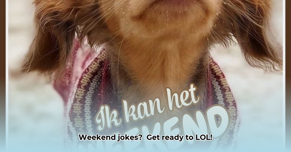 goedemorgen-vrijdag-grappig